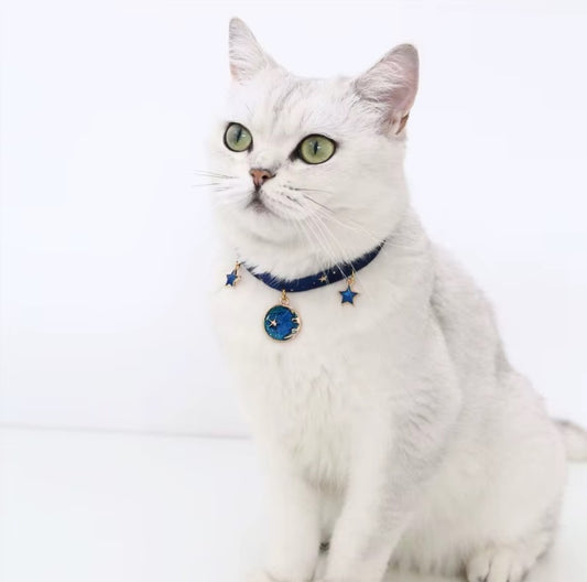 Velvet adjustable pet collar with bronzing star design for cats and small dogs