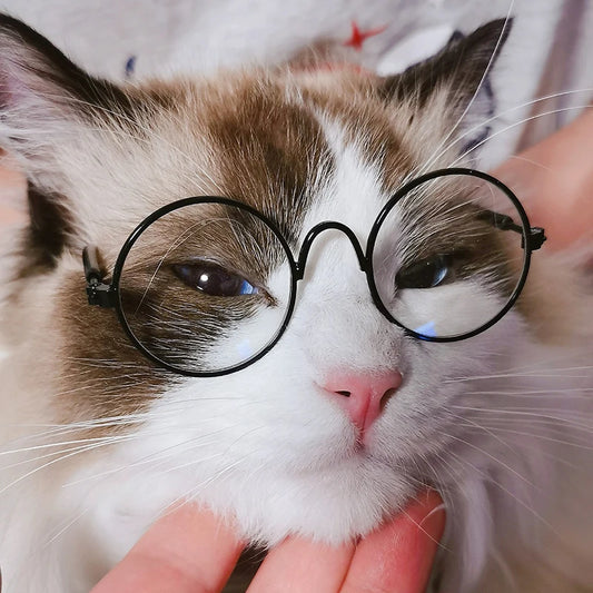 Vintage round sunglasses for cats and small dogs with reflective lenses