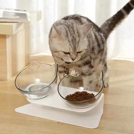 Non slip pet bowl set with elevated design for cats, featuring dual bowls for food and water.