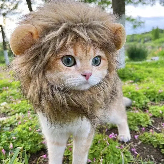 Cat wearing a fluffy lion mane hat, ideal for Halloween or costume parties.