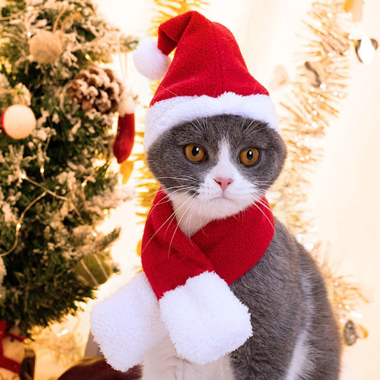 Pet Christmas hat and scarf set, festive holiday accessory for dogs and cats