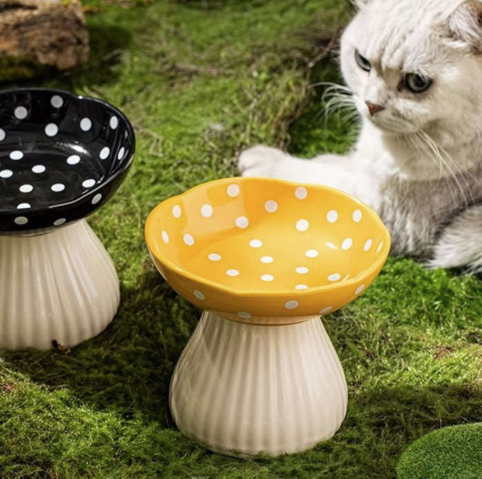 Mushroom cat feeder and a cat look at them