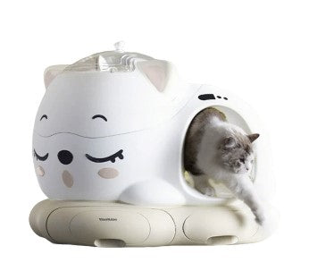 Cat leaving from litter box – part of our hygienic cat care products