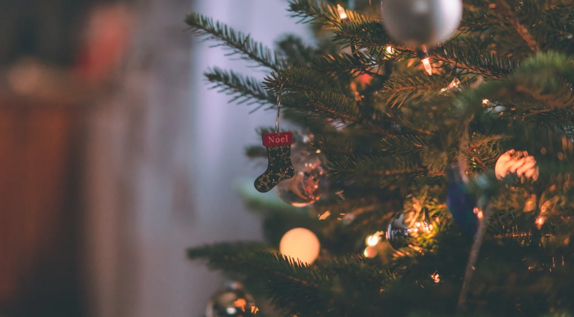 A part of Christmas tree – holiday-themed pet accessories and toys