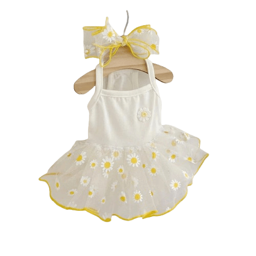 Small dog in strawberry daisy summer dress with ruffle skirt