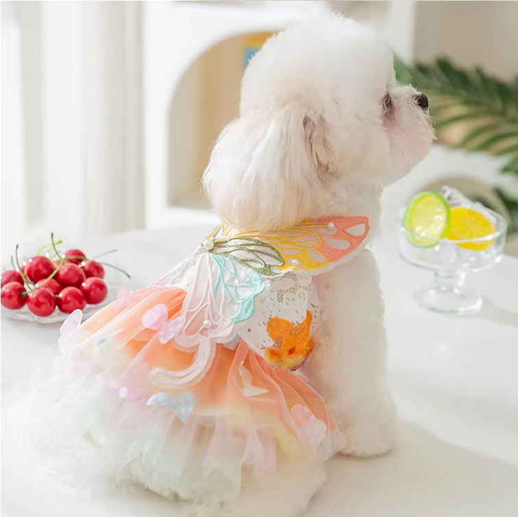 Small dog wearing the Butterfly Princess Dress, showcasing a charming and stylish design perfect for special occasions.
