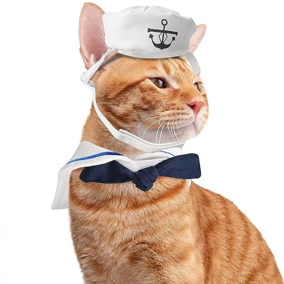 Cat wearing a funny navy sailor costume with a sailor hat and collar, looking stylish and adorable.