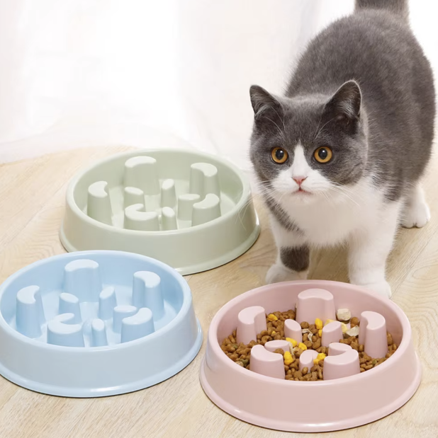 Pet Slow Food Bowl with raised obstacles to promote slower and safer eating for cats and dogs
