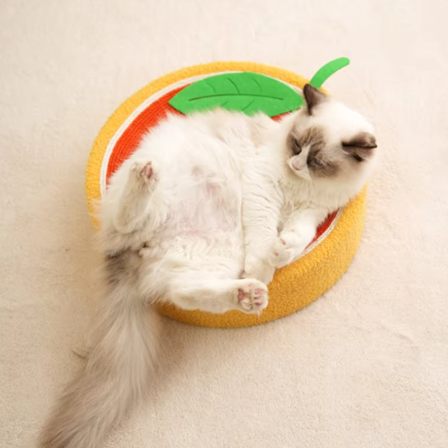 2-in-1 cat scratcher and bed with recyclable bowl-shaped sisal surface