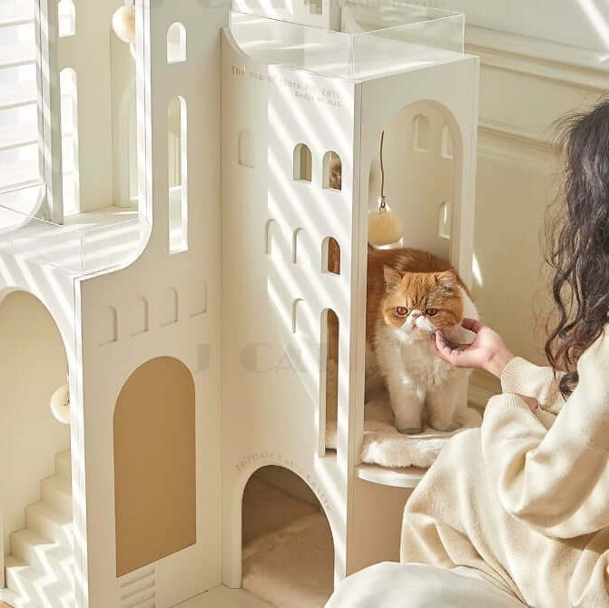 cat enjoying the Dream Castle Cat House, an elegant cat castle with cozy design and playful features