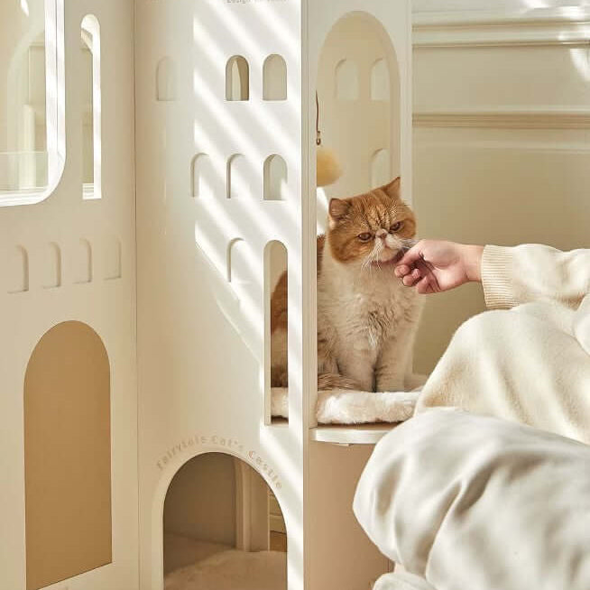 Cat enjoying the Dream Castle Cat House, a luxurious and elegant cat castle with a cozy design.