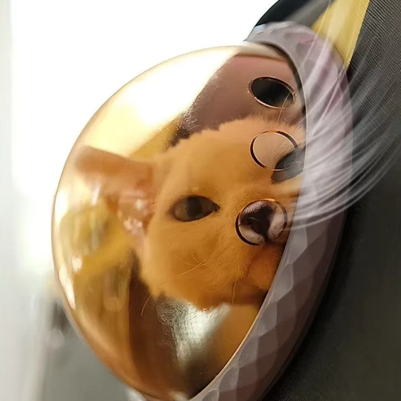 Close-up of a cat peeking out from a transparent pocket of the AstroView™ pet travel bag.