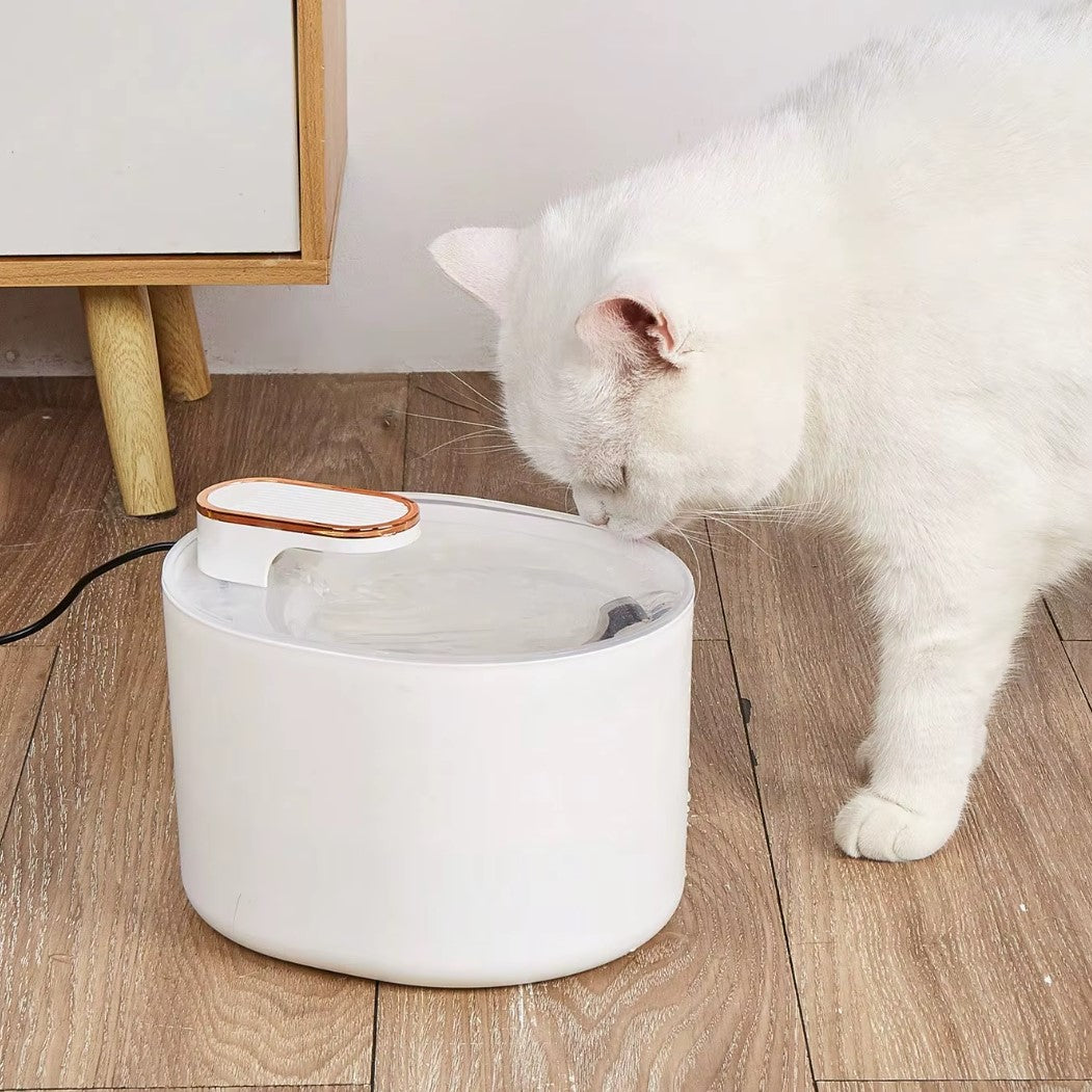 3L automatic cat water fountain with dual outlets and quiet motor for continuous hydration.