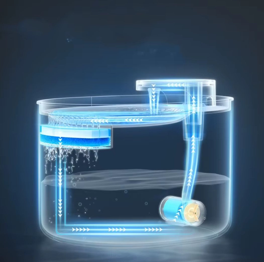 3L automatic cat water fountain with dual outlets and quiet motor for continuous hydration.