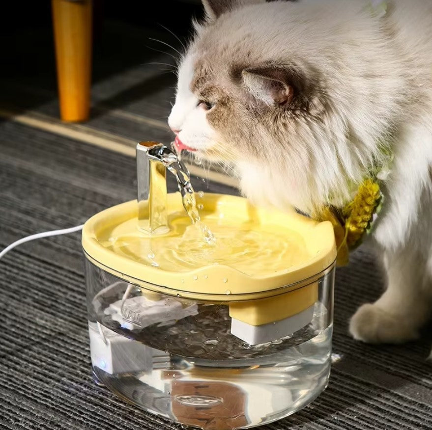 Silent automatic cat water fountain with double filtration and smart flow system for healthy hydration.
