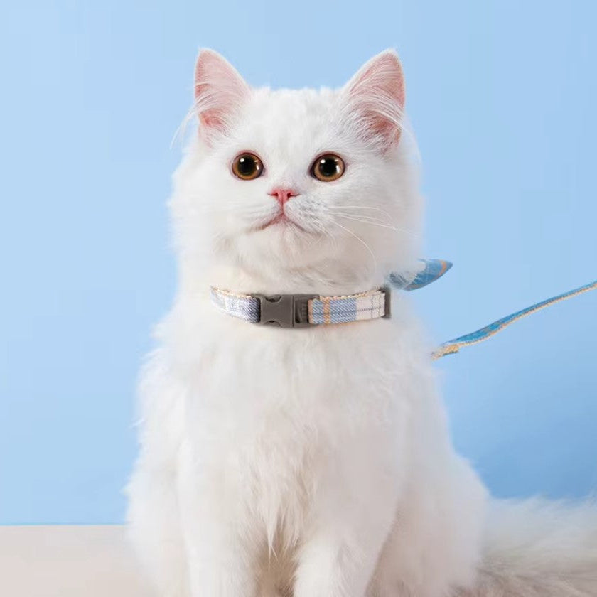 White cat wearing a stylish collar and leash, showcasing a pet harness for comfort and security.