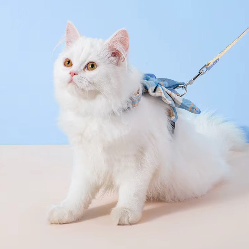 White cat wearing a stylish pet harness with breast strap, looking comfortable and secure.