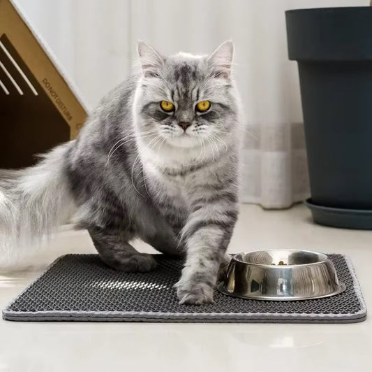 Double-Layer Waterproof Cat Litter Mat – Soft EVA Material for Mess-Free Floors - The Pet Paradise