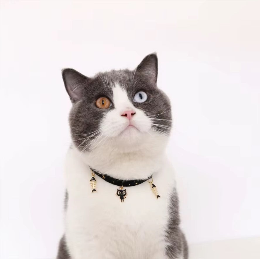 Velvet adjustable pet collar with bronzing star design for cats and small dogs