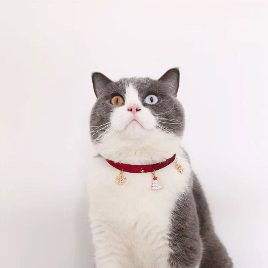 Velvet adjustable pet collar with bronzing star design for cats and small dogs