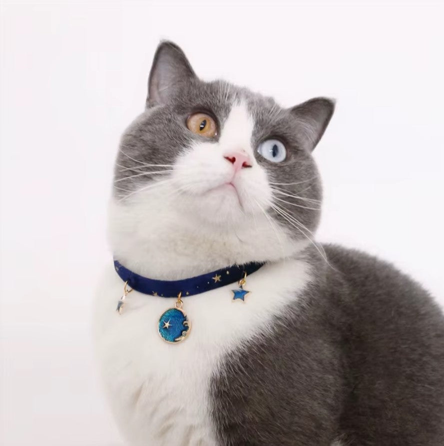 Velvet adjustable pet collar with bronzing star design for cats and small dogs