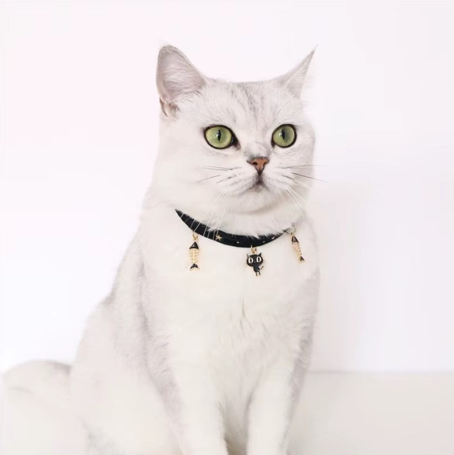 Velvet adjustable pet collar with bronzing star design for cats and small dogs
