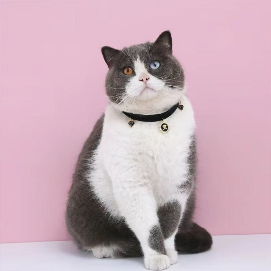 Velvet adjustable pet collar with bronzing star design for cats and small dogs