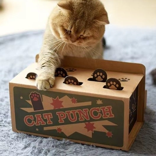 Interactive cat maze puzzle toy with pop-up mouse for indoor play