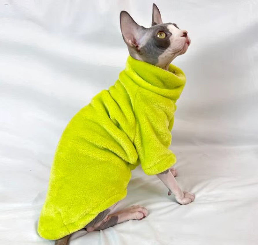 Hairless cat wearing turtleneck fleece winter sweater