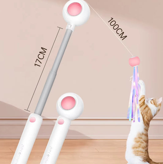 Cat playing with interactive gravitational teaser laser wand