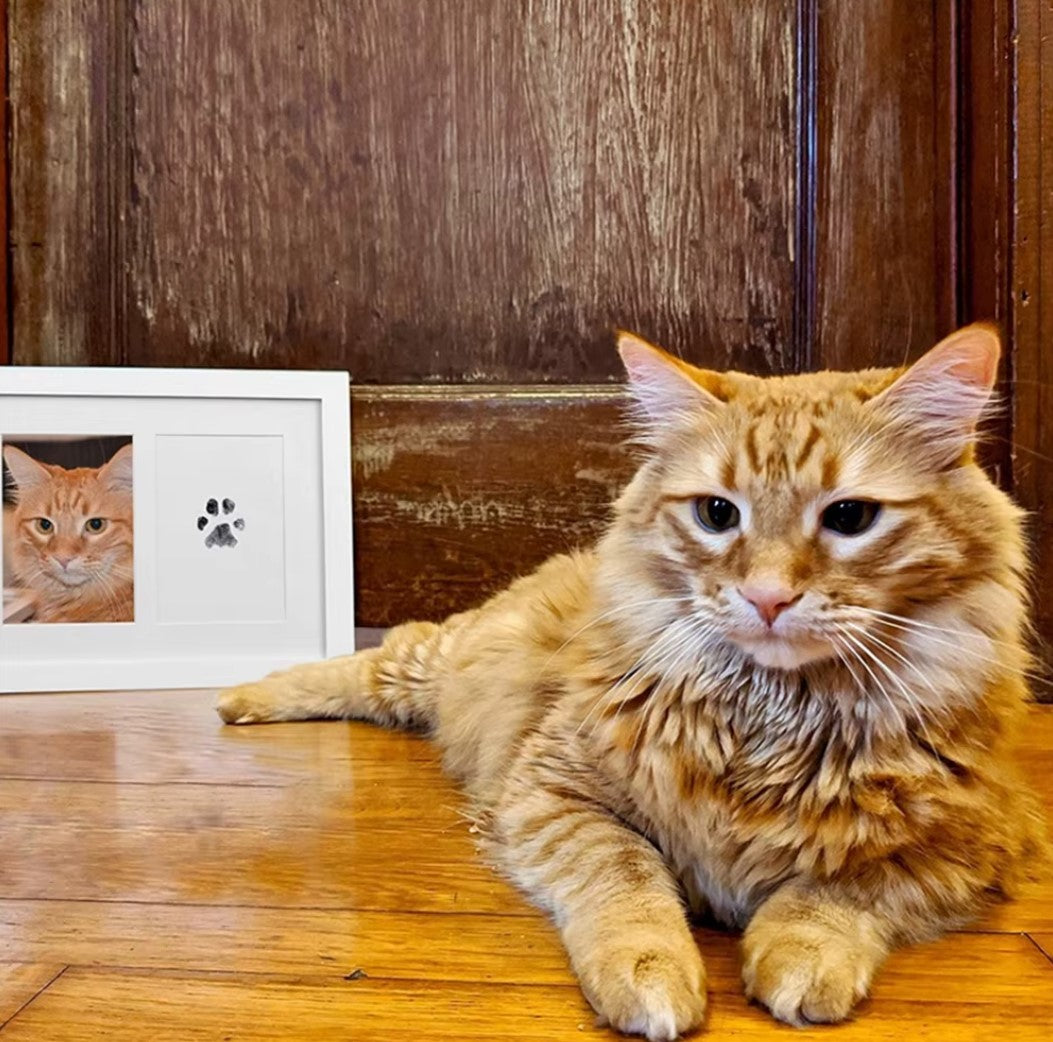 Pet Paw Print Ink Kit – Inkless technology for creating lasting paw prints without mess