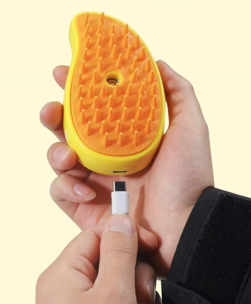 Electric spray massage comb for cats USB rechargeable grooming tool