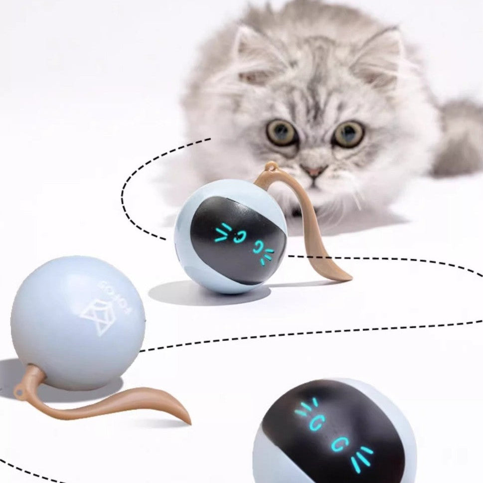 The Undercover Mouse™ Interactive Cat Puzzle