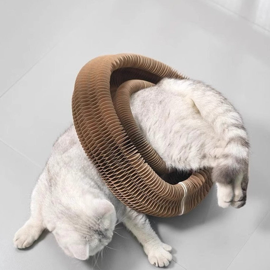 cat scratcher with ball and a cat playing inside a circular cardboard scratcher