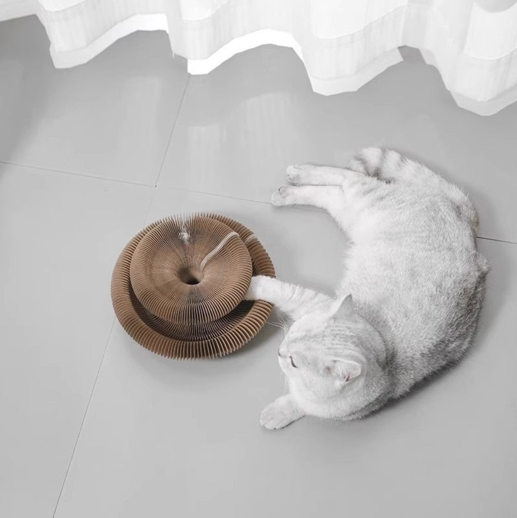 A playful cat using a Cat Scratcher with Ball The Magic Organ™ Foldable Board, enjoying its new scratching surface.