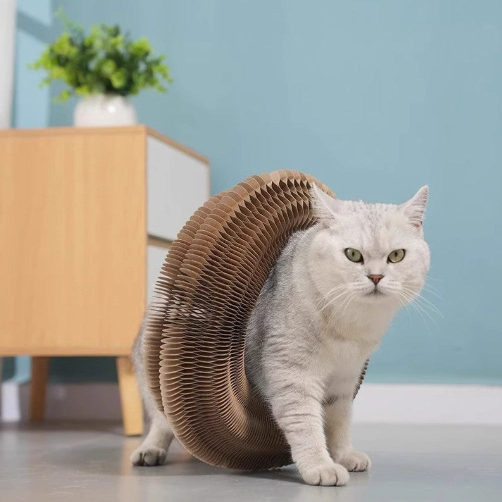 Cat scratching on a cat scratcher with ball, showcasing the Magic Organ™ Foldable Board in a cozy room setting.