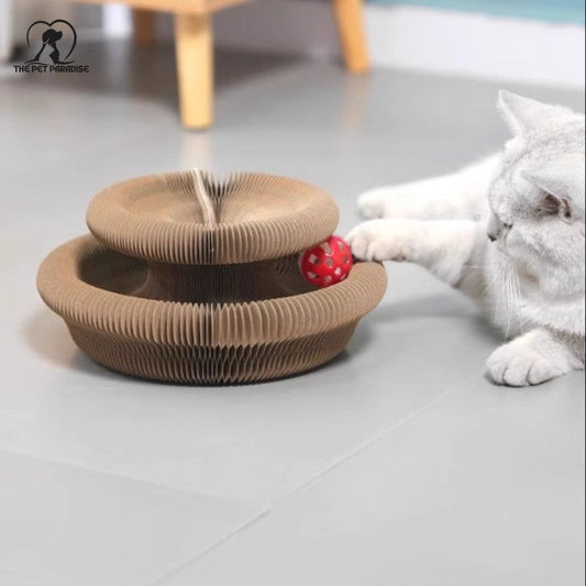 Cat scratching on a cat scratcher with ball, designed for playful interaction and entertainment.