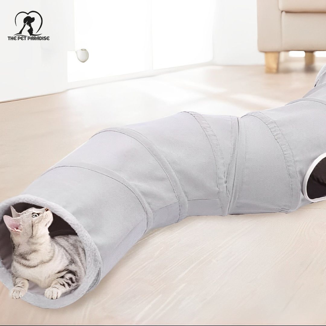 Collapsible cat tunnel with a playful cat poking its head out of one end, designed for fun and cozy hideaways.
