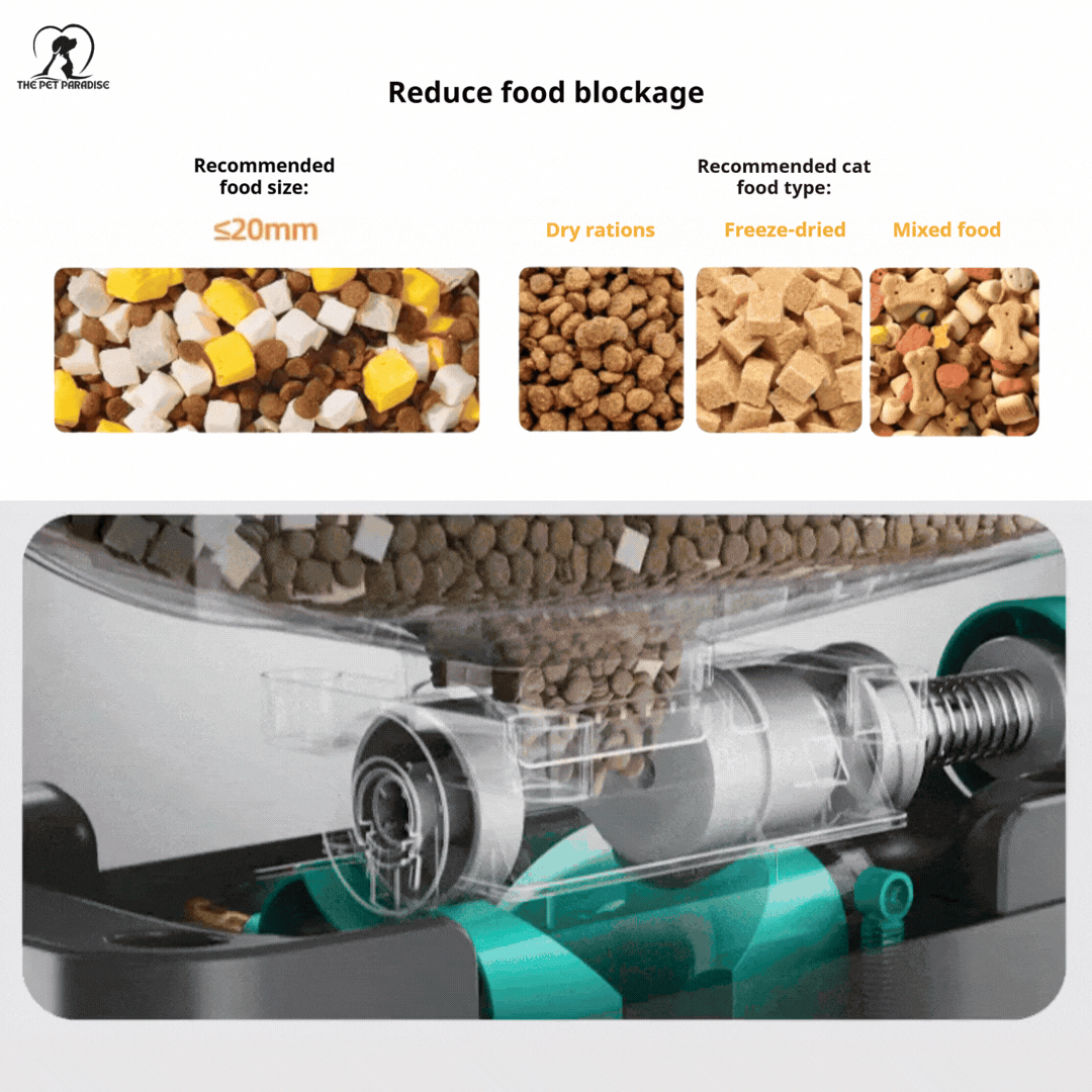 Pet feeding station with food size recommendations and types to prevent food blockage in cats and dogs.