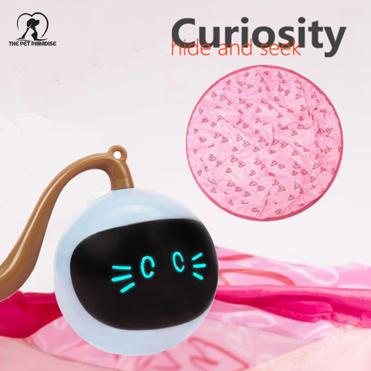 The Undercover Mouse™ Interactive Cat Puzzle