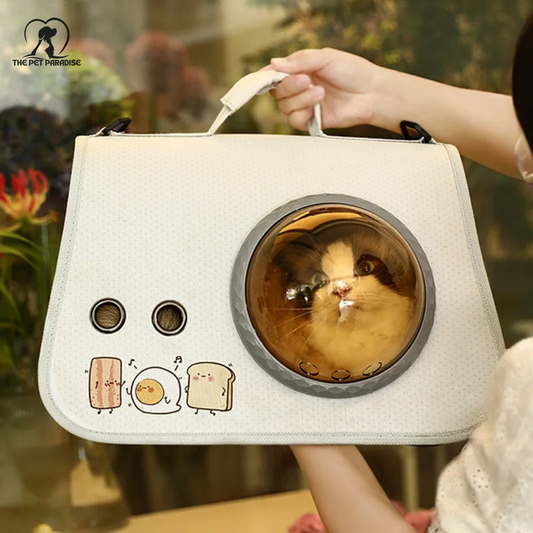 AstroView™ pet travel bag with a clear window, featuring a cat inside, held by a person.