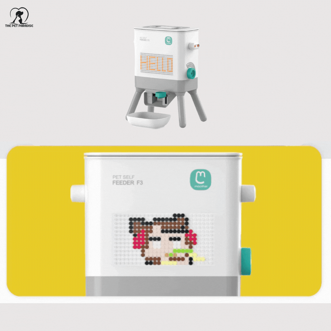 Pet feeding station featuring a self feeder with customizable display for cats and dogs.