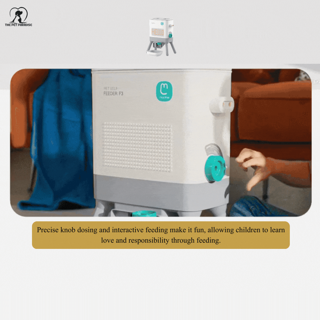 Pet feeding station with precise knob dosing for interactive feeding, helping children learn responsibility through feeding.