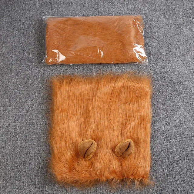 Dog wearing a fluffy lion mane costume hat.
