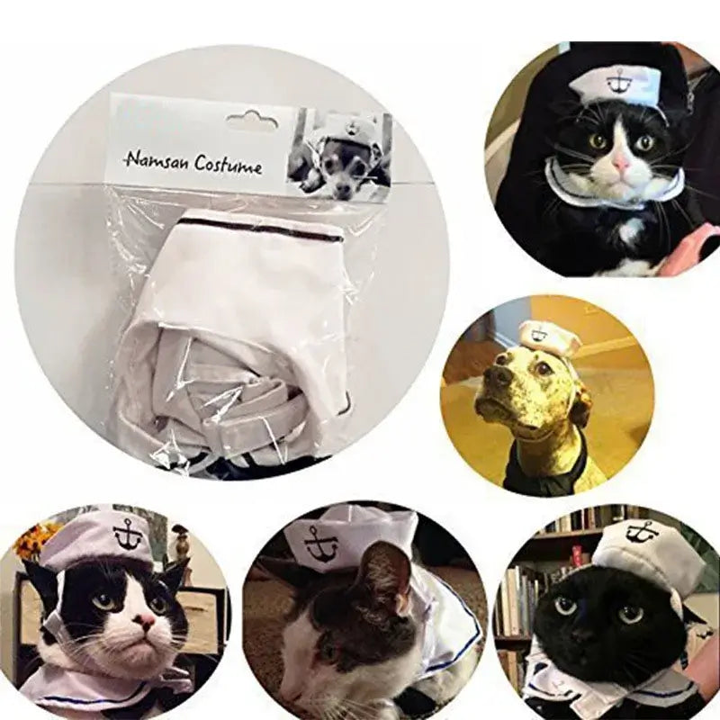 Cat wearing a funny navy sailor costume with a sailor hat and collar, looking stylish and adorable.