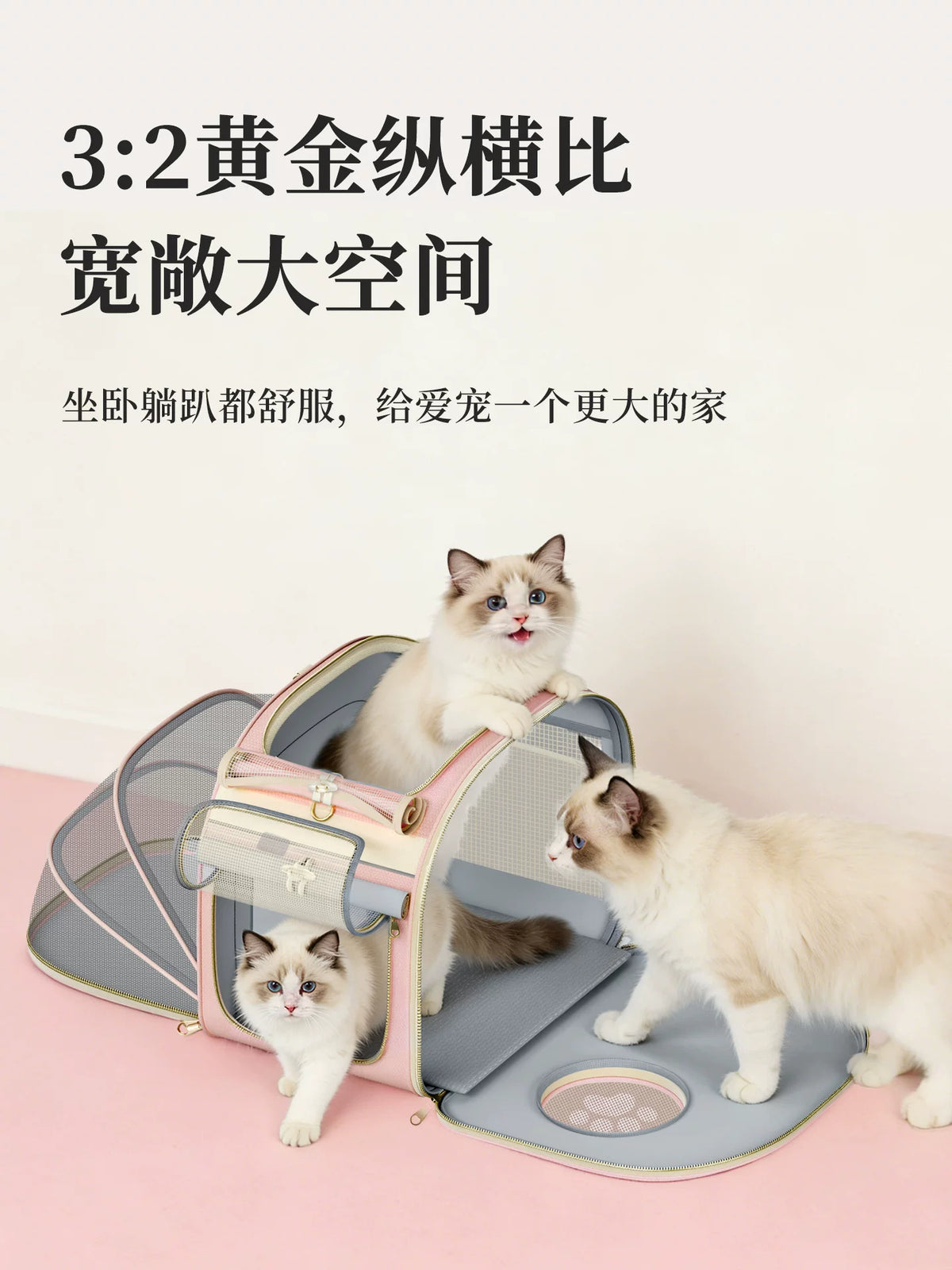 猫包外出便携出门可提可背小型犬轻便斜挎出门专用大容量宠物背包