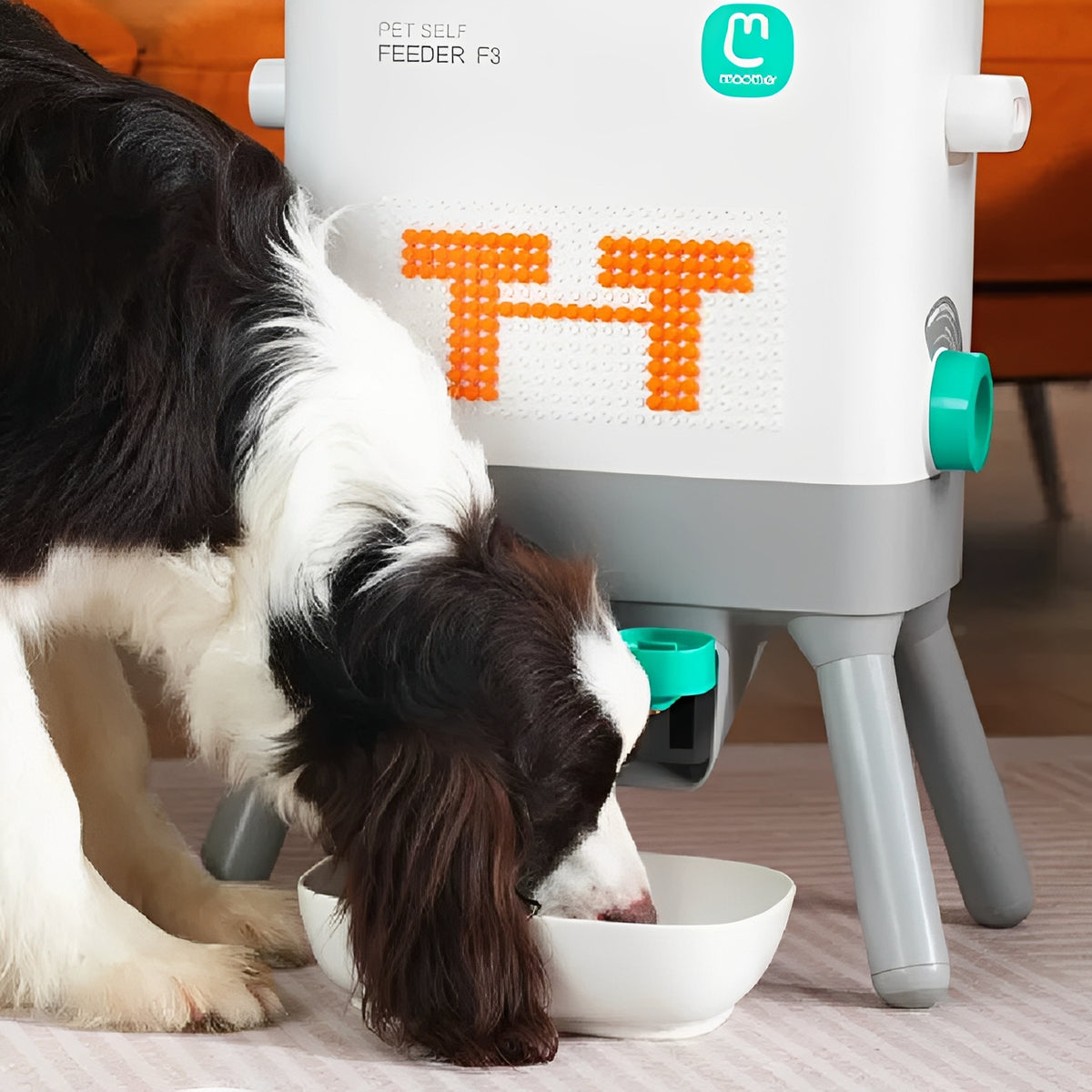 Dog using the Pet Feeding Station The Artisan™ with a self feeder for easy mealtime.