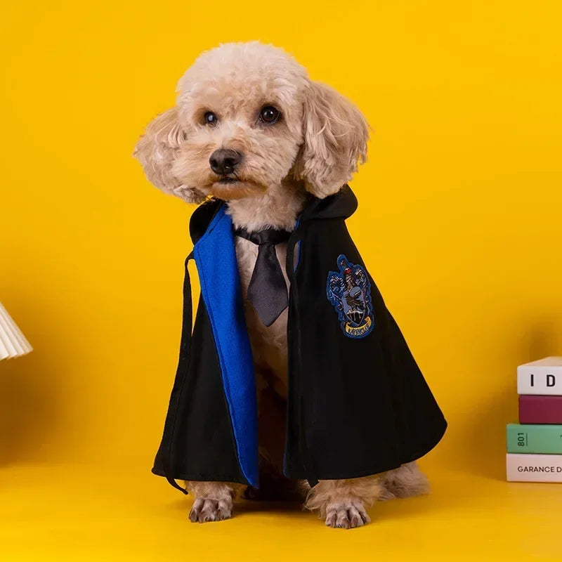 Cat wearing wizard shirt and cape inspired by Harry Potter magic academy outfit