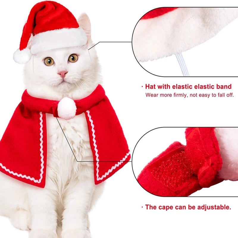 White cat wearing a Christmas pet costume with Santa hat and adjustable red cape, perfect for festive holiday dress-up.