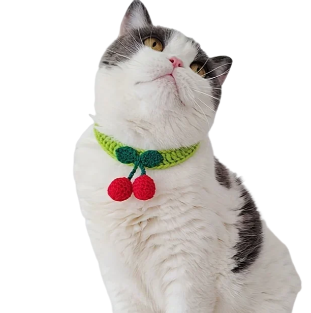 Handmade knitted pet collar with cherry decoration for cats